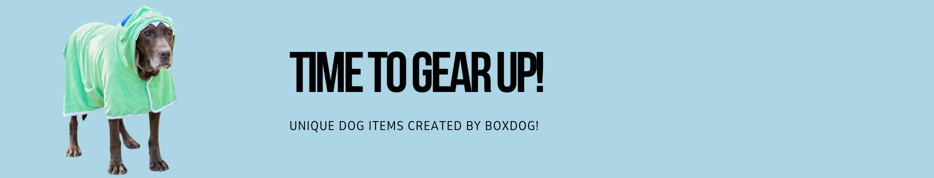Dog Gear