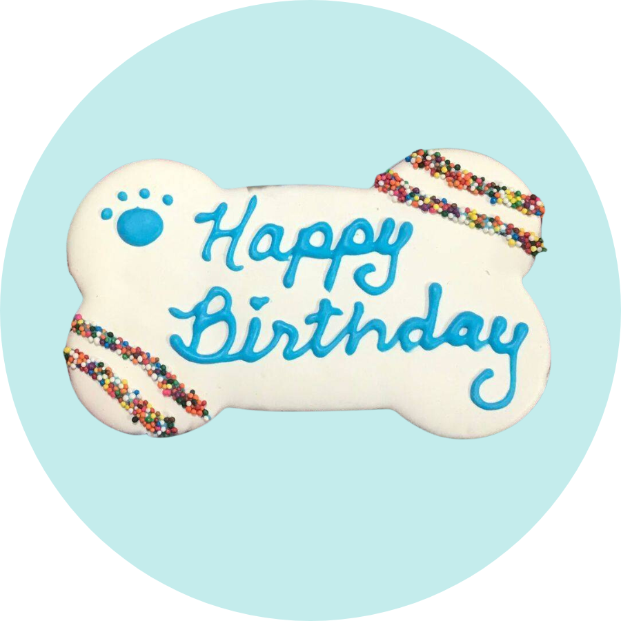 Giant Happy Birthday Blue Bone 5x3"