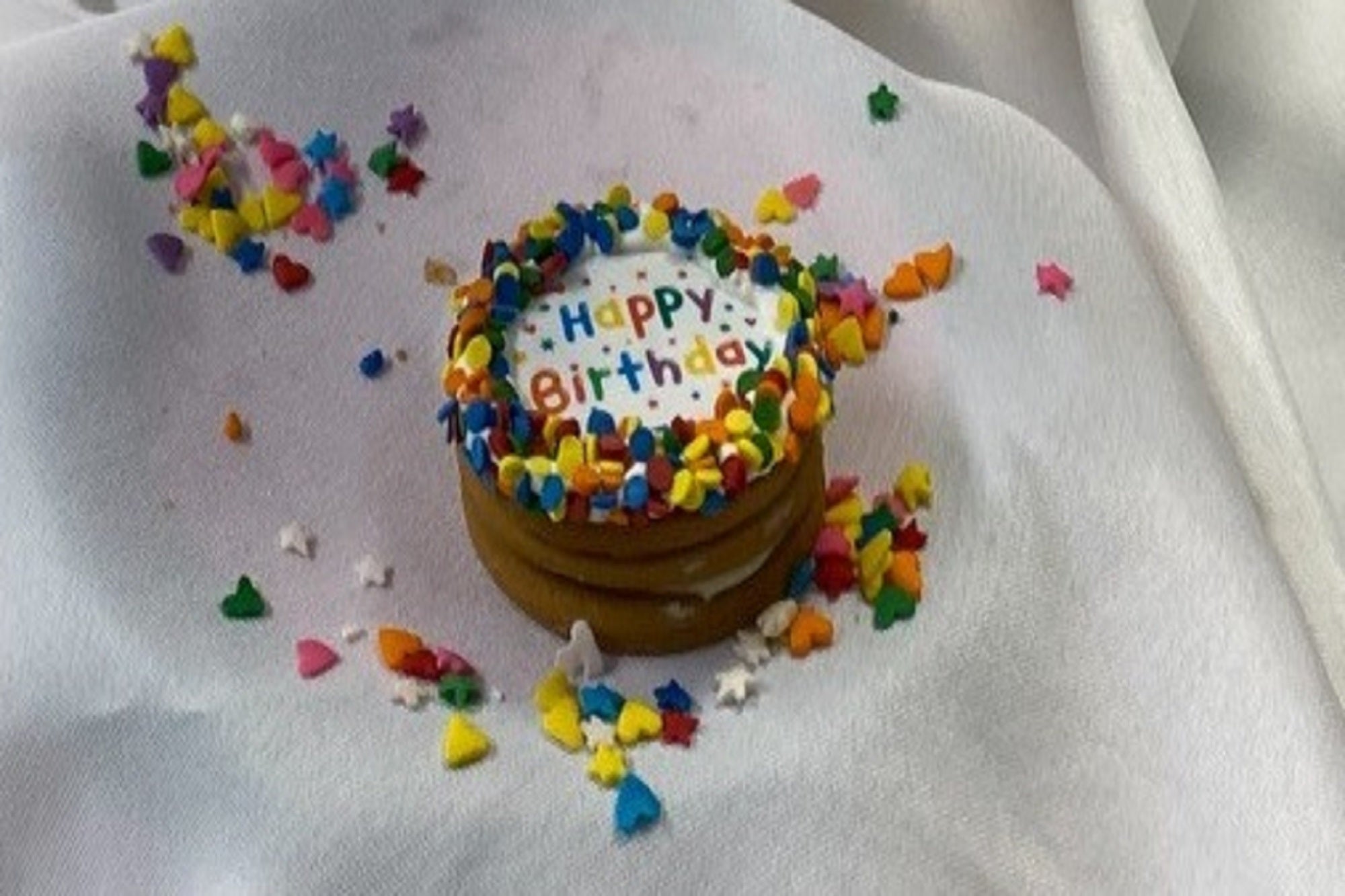 Multiclor 2" Happy Birthday Dog Cupcake