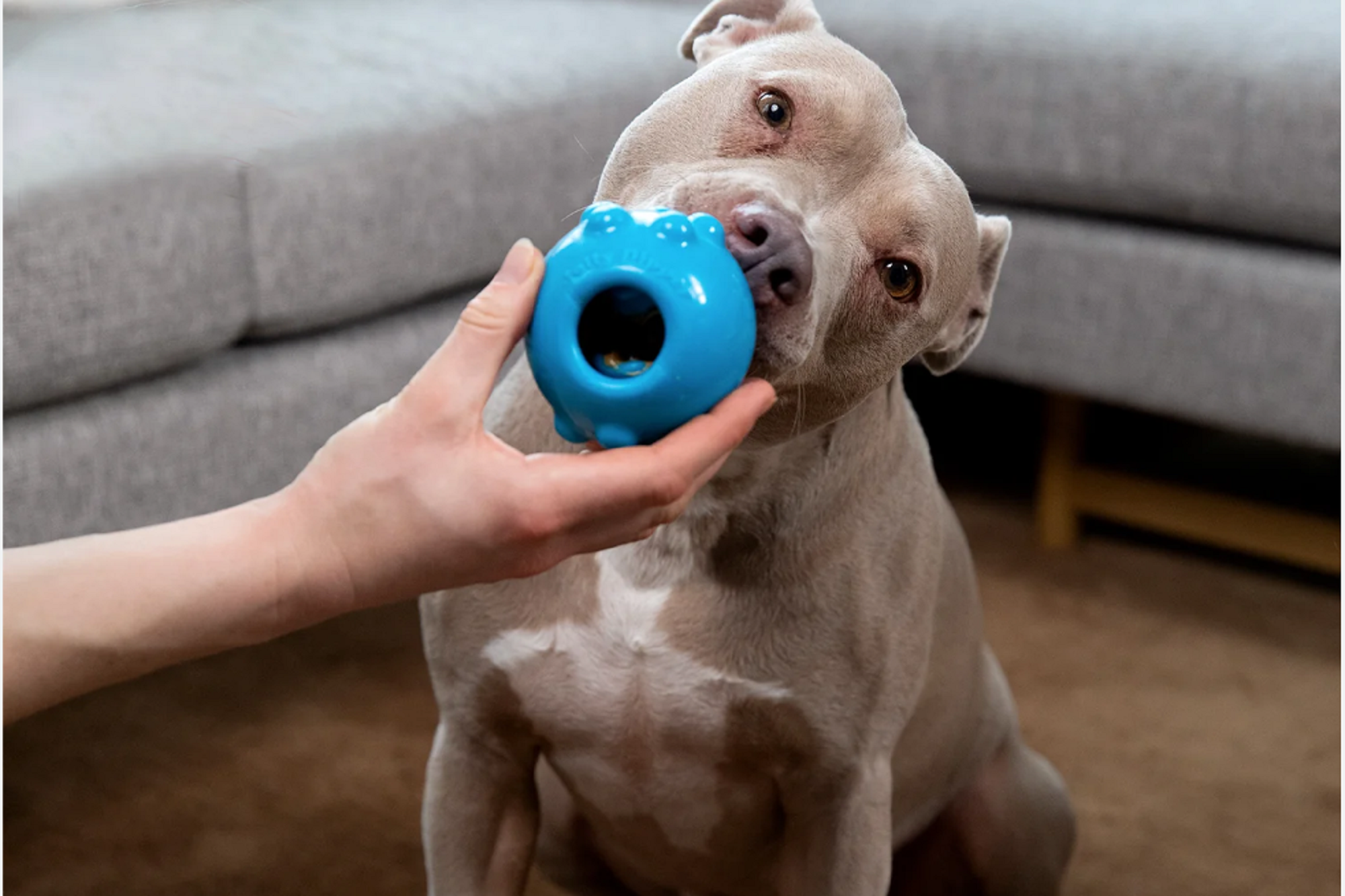 Tough Dipper Bounce Toy