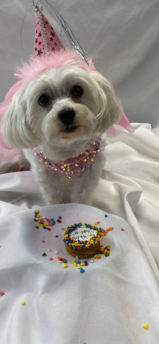 Multiclor 2" Happy Birthday Dog Cupcake