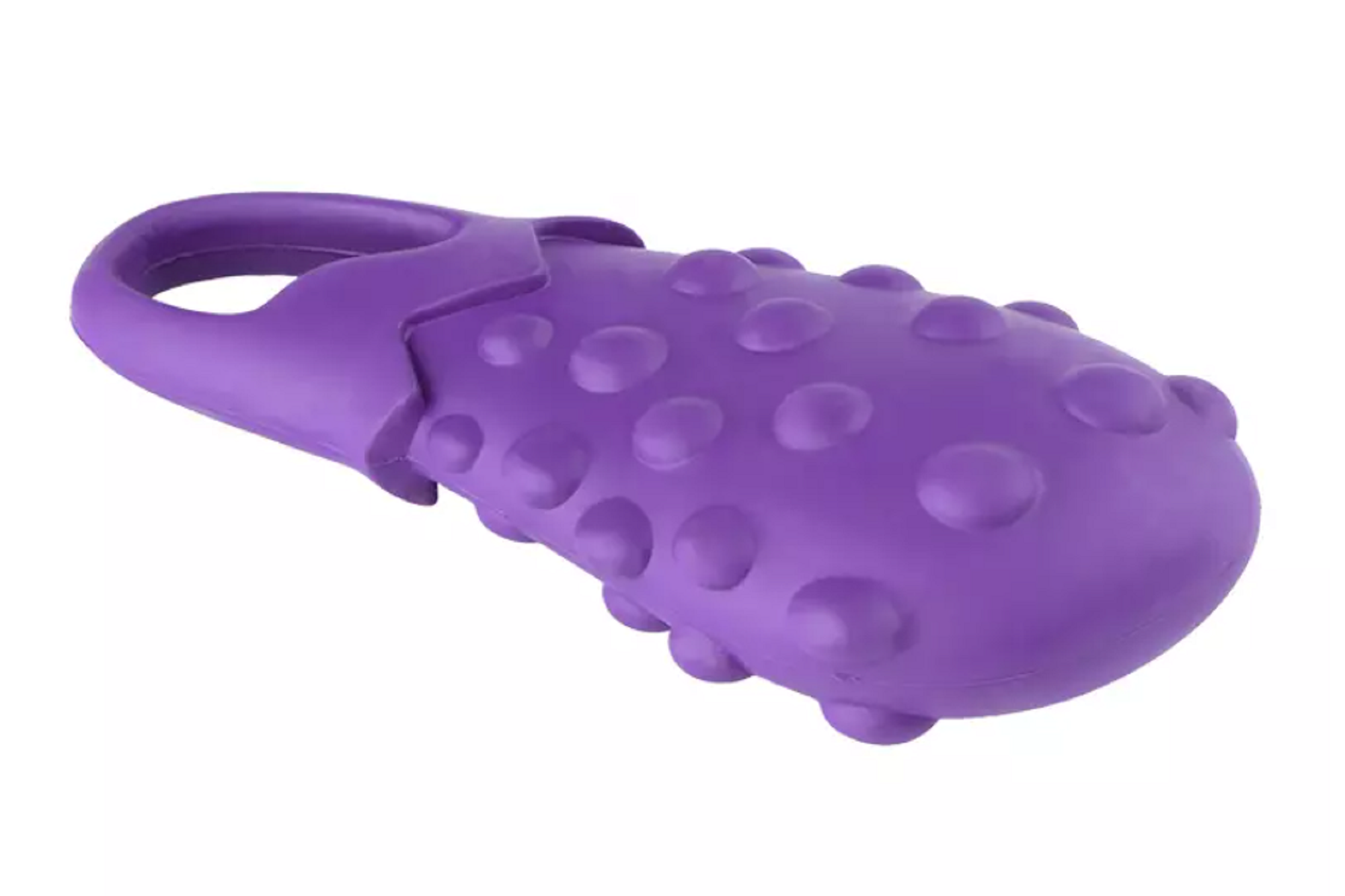 rubber eggplant