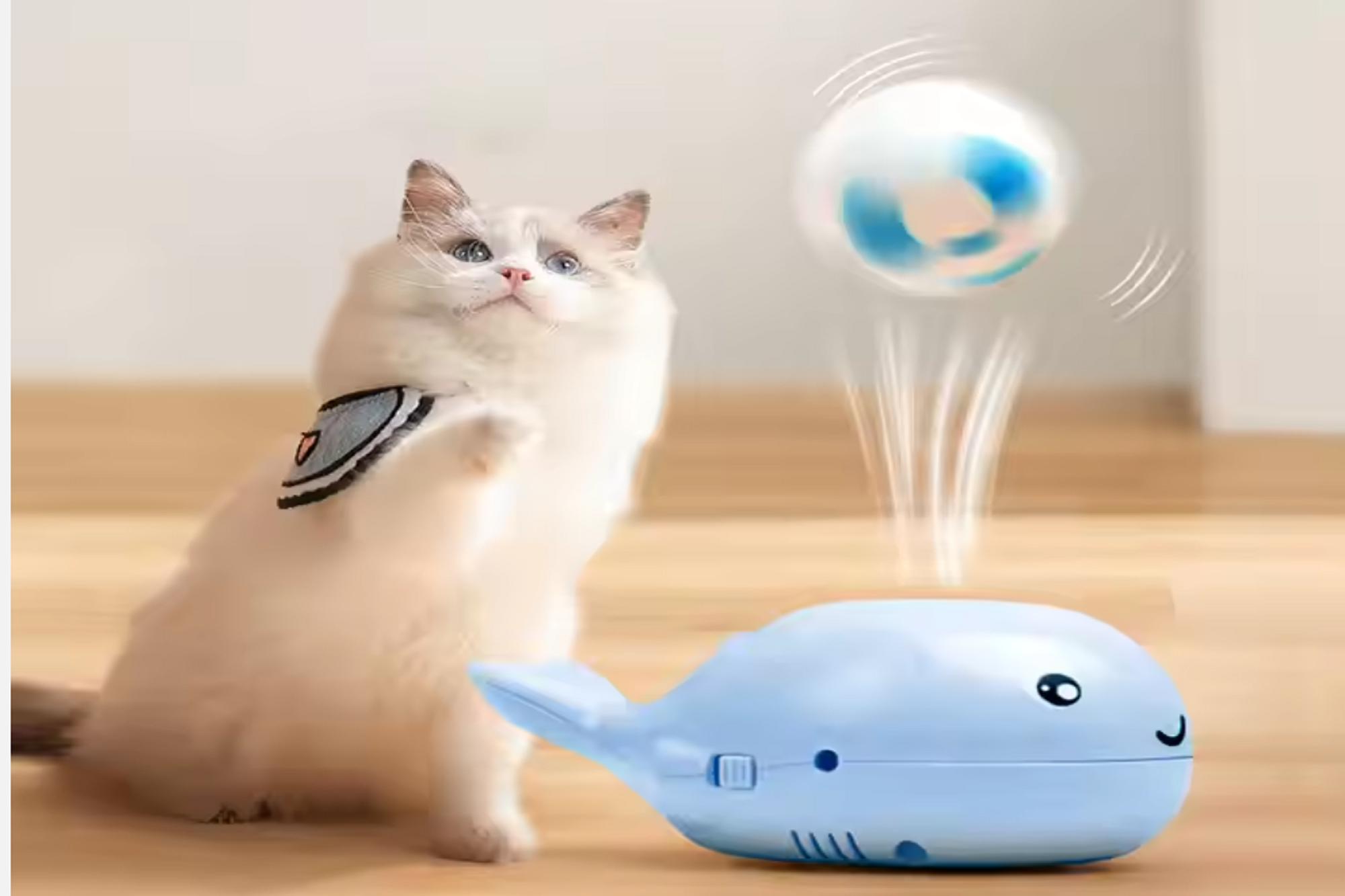 Whale with Floating Ball in Air
