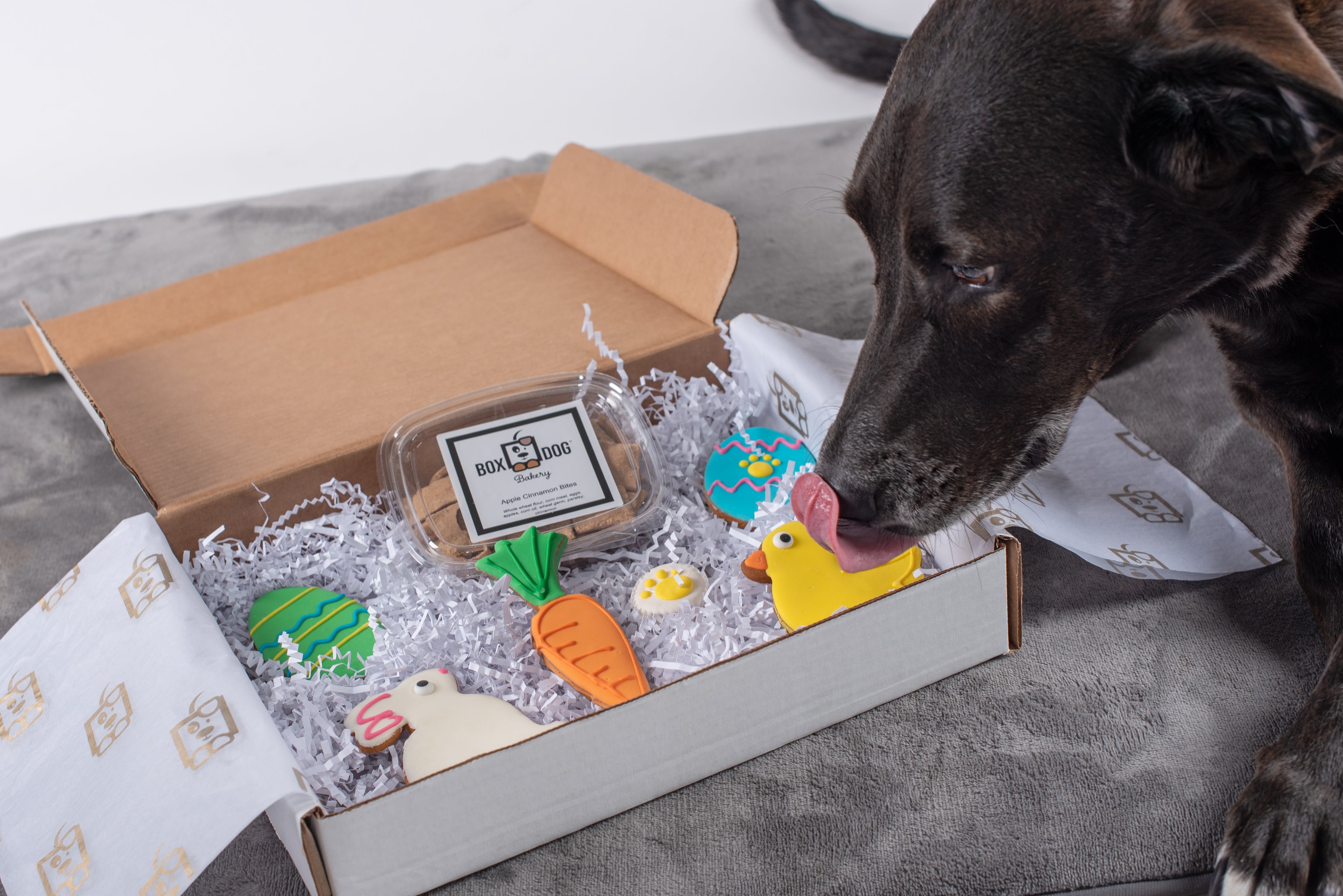 BoxDog Cookie Club - Handmade dog treats, handmade dog cookies delivered!
