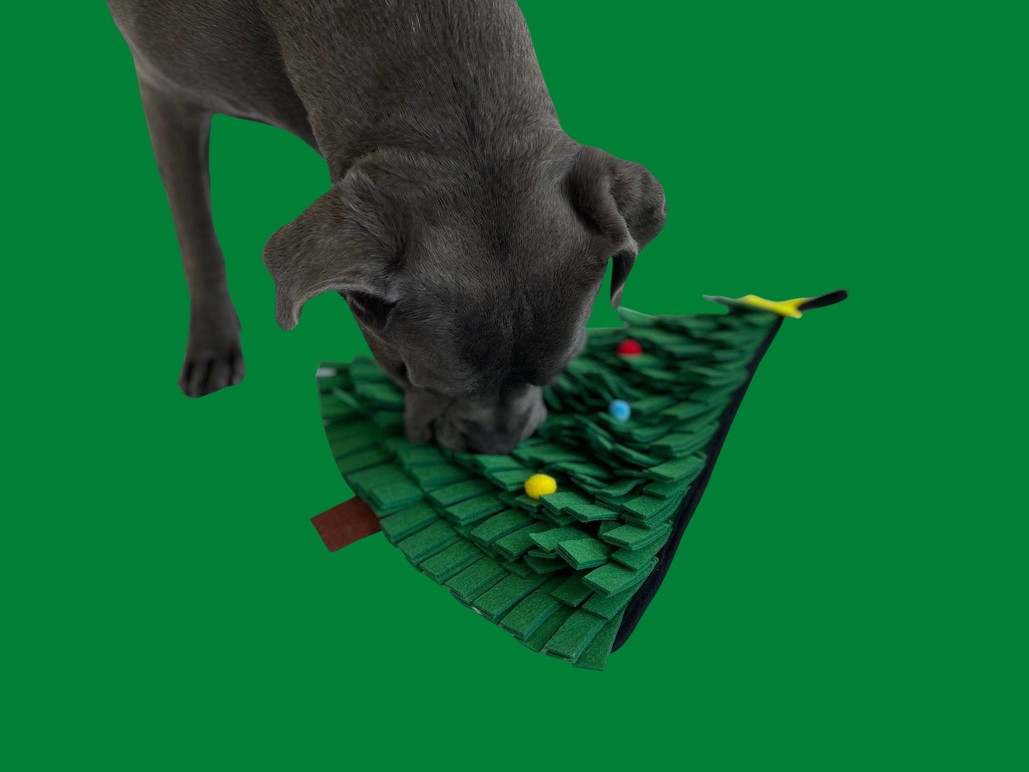 Tree Foraging Mat