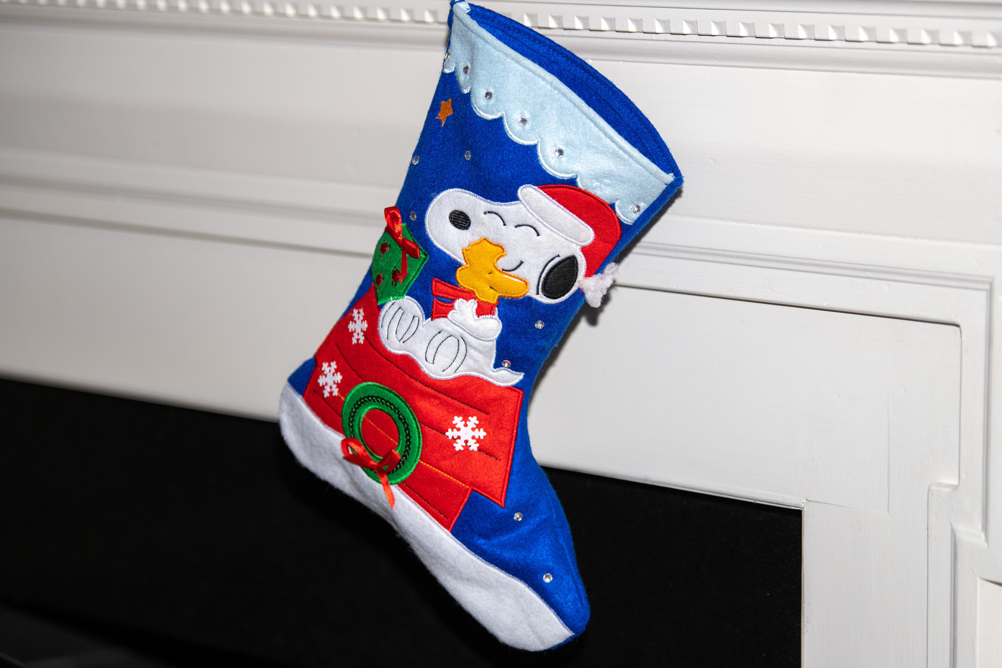 Snoopy Stocking