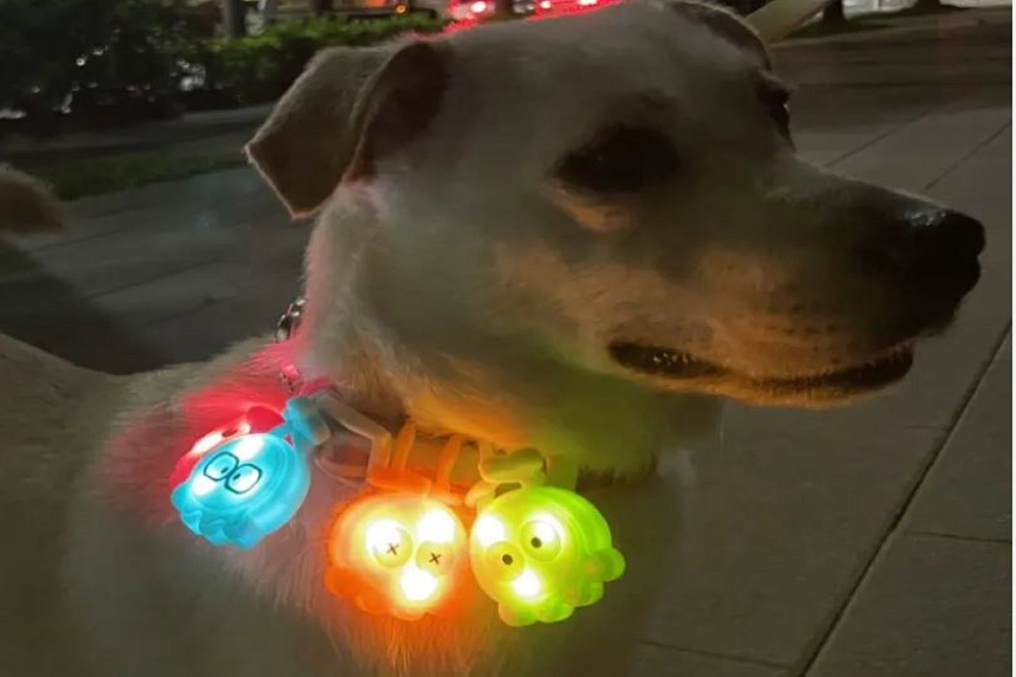 Octopus Collar Safety Light