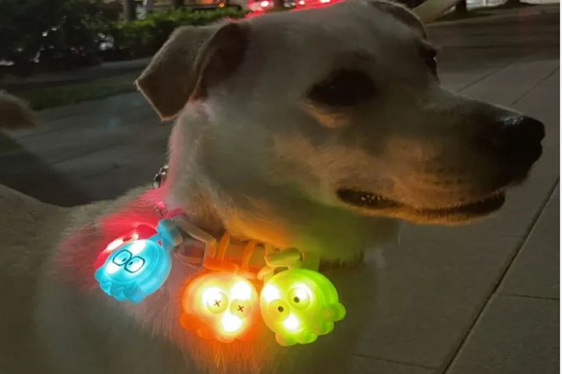 Octopus Collar Safety Light