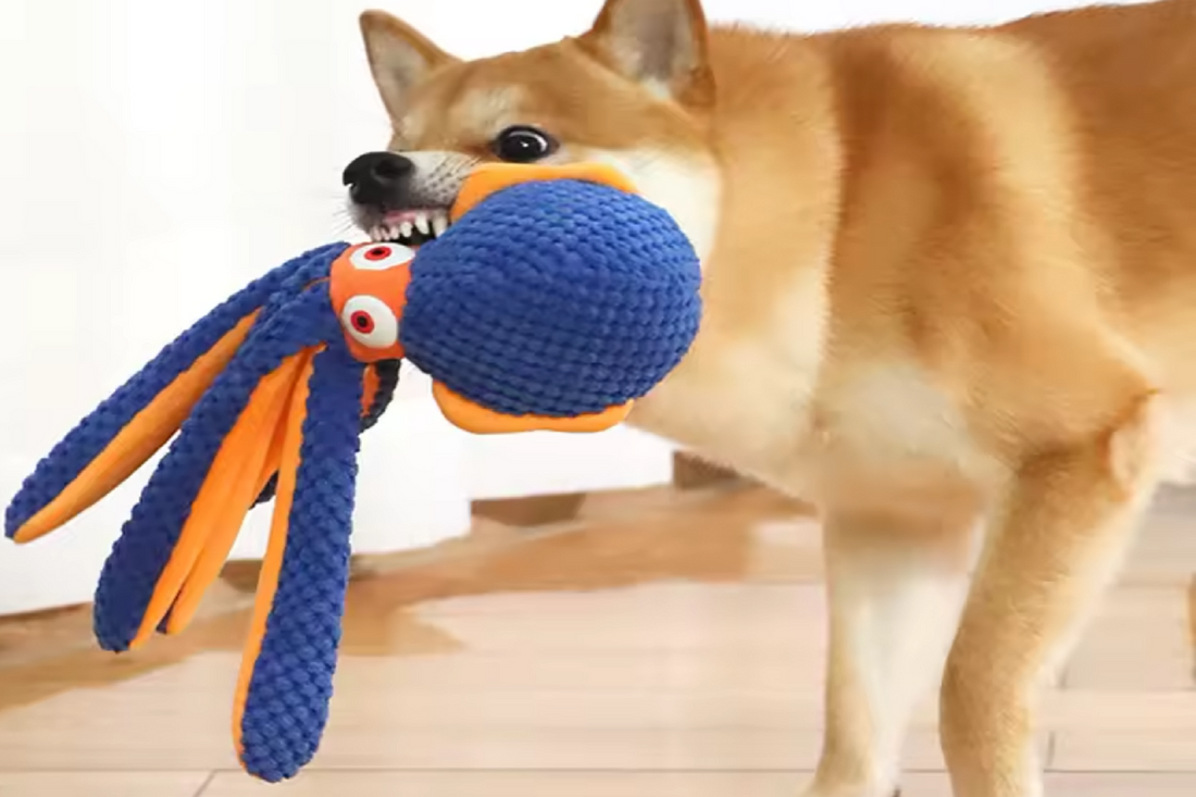 orange and blue octopus