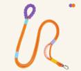 Dog Leash