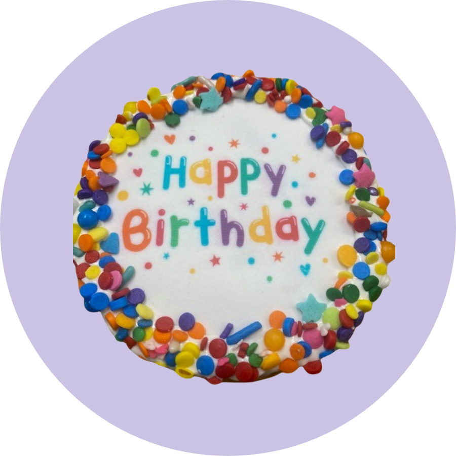 BoxDog MultiColor Birthday Cake with Sprinkles