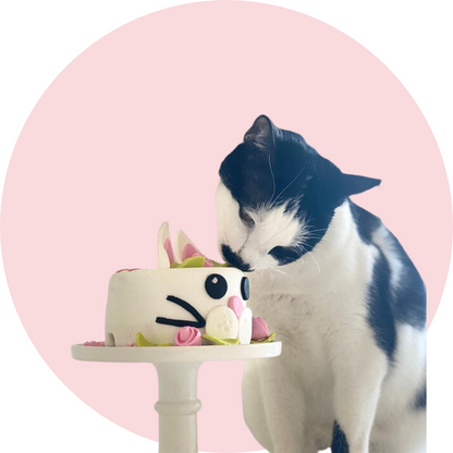 White Birthday Cake for Cats