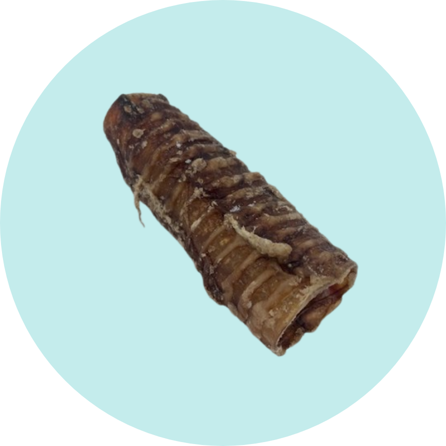 USA Handcrafted Beef Trachea Chews for Dogs