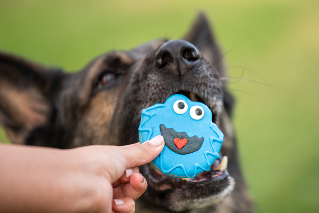 Blue Monster Dog Cookie