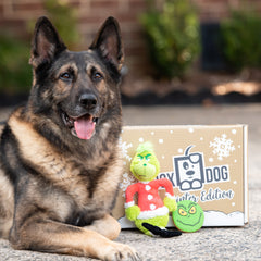 Christmas Grinch Dog Cookie