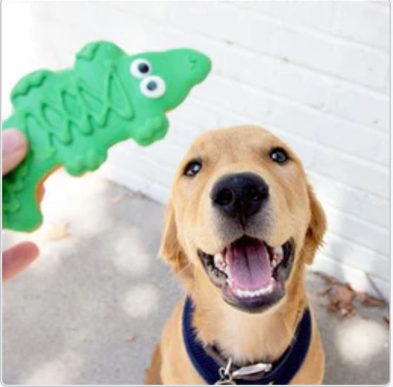 Alligator Dog Cookie