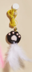 paw teaser