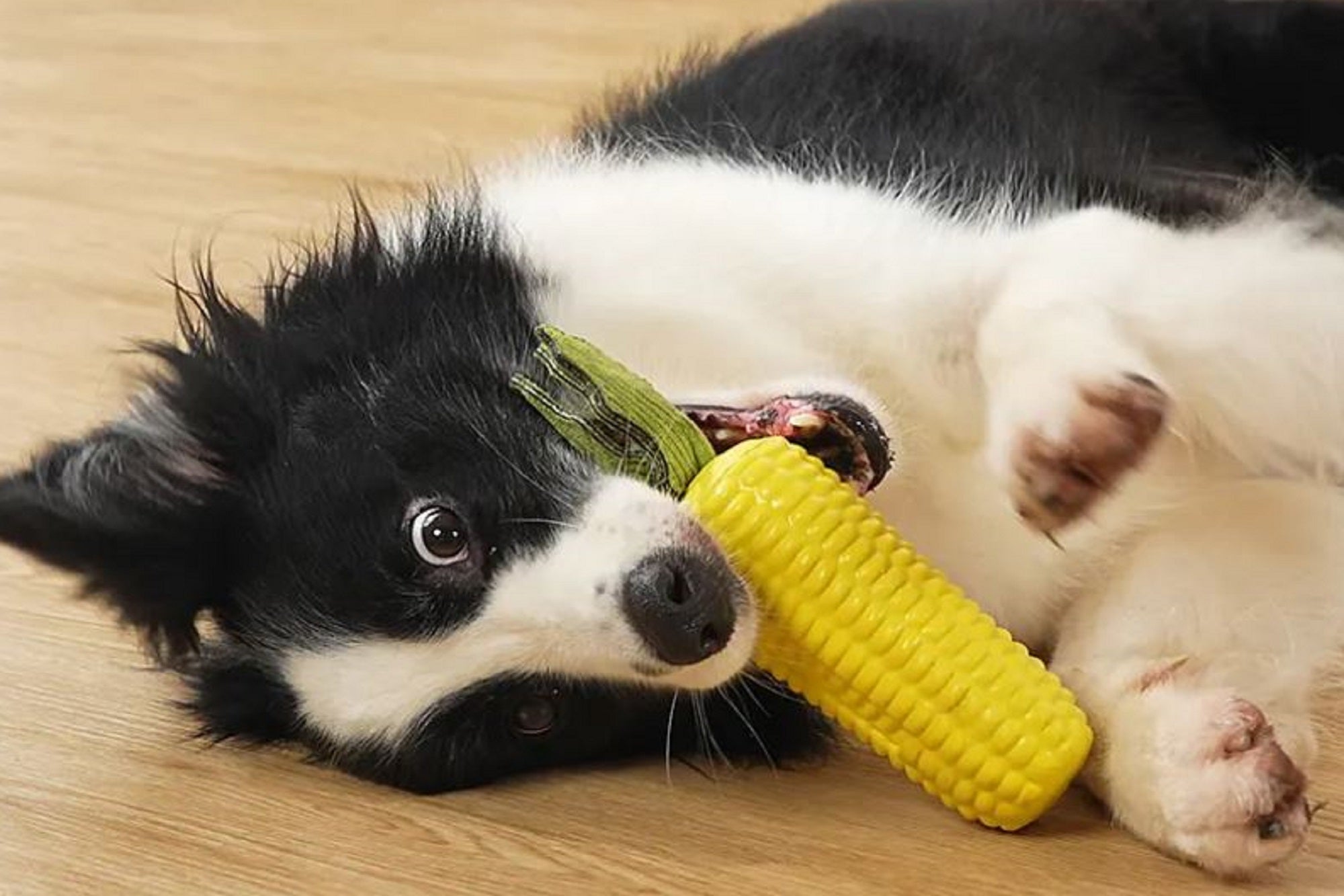Rubber Corn Toy – BoxDog