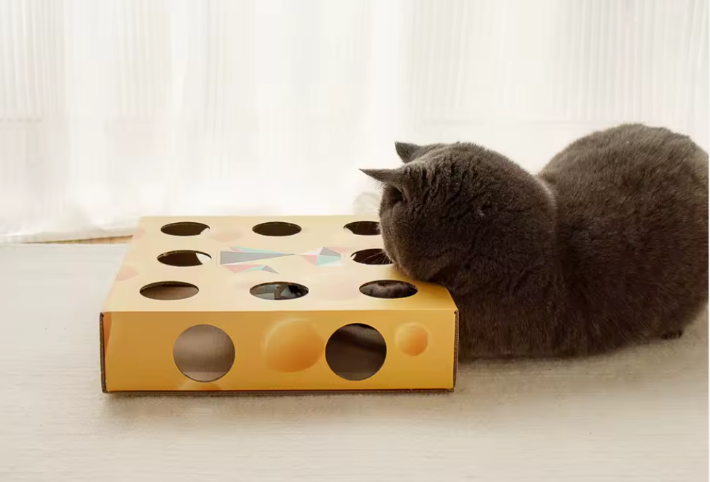 Automated feather toy cat puzzle