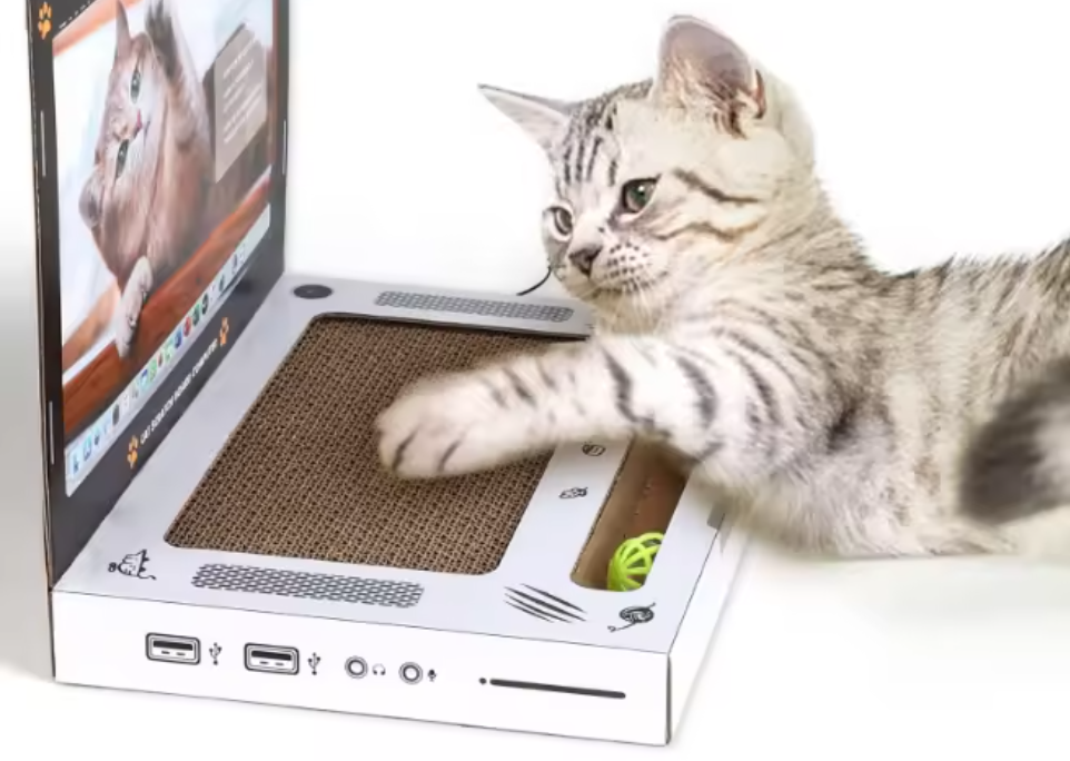 Cat Scratcher Laptop