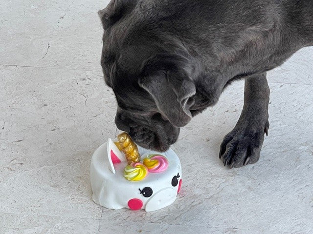 Unicorn Fresh Dog Cake