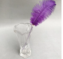 Purple feather cat toy