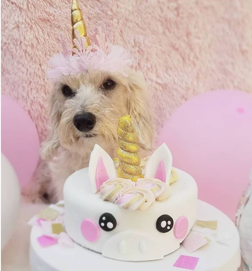 Unicorn Fresh Dog Cake