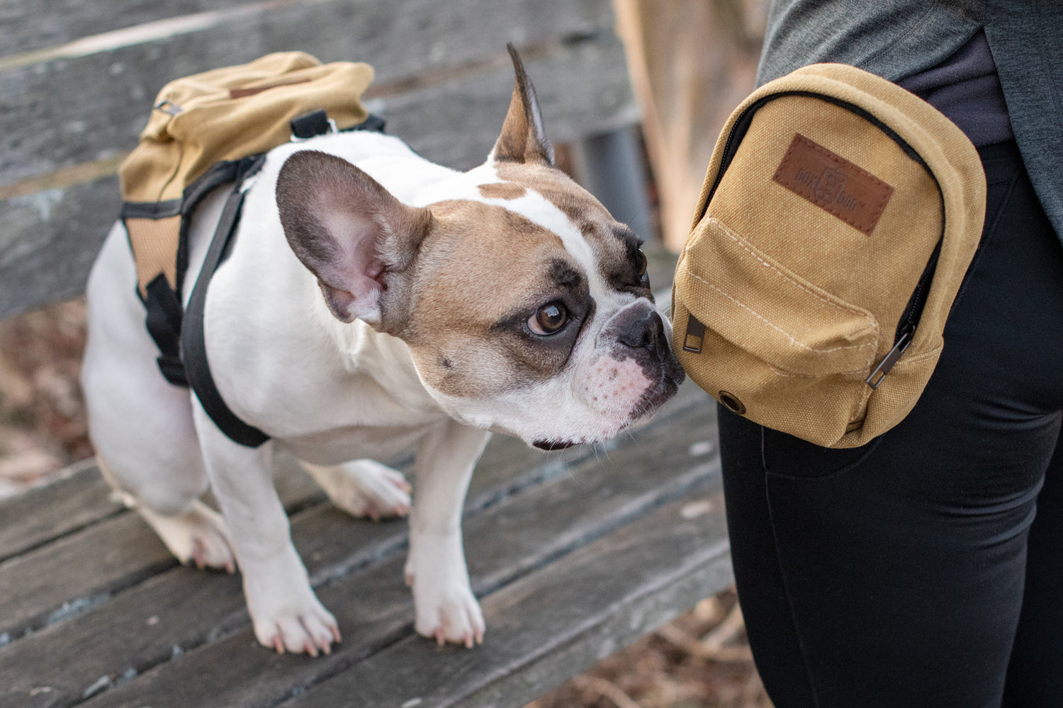 Matching Dog Treat Pouch