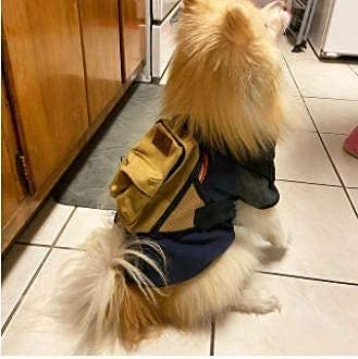 Dog Backpack Set