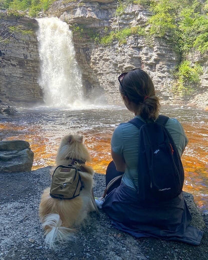 Dog Backpack Set