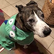 BoxDog Bathrobe Wearable Microfiber Dog Towel with Monster Hoodie | Soft Dog Bathrobe