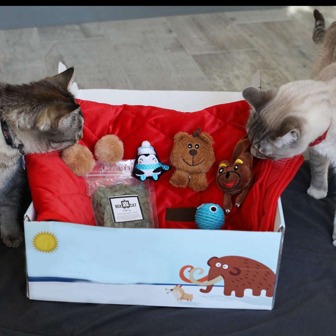 BoxCat Seasonal Subscription Box