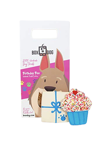 Birthday Dog Blue Cookie Box