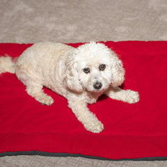 Red Polar Fleece Pet Bed