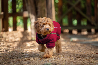 Polar Fleece Zip-Up Jacket