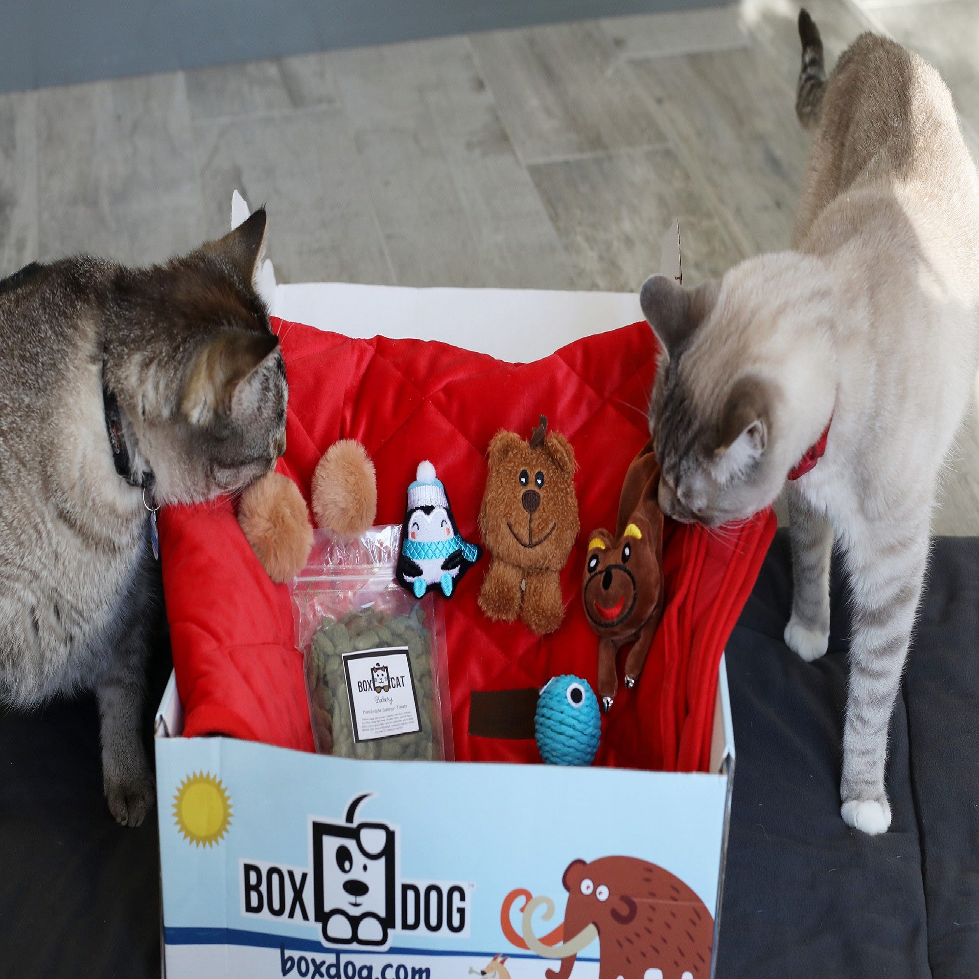 BoxCat Luxury Monthly Box