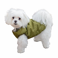 Green Dog Jacket